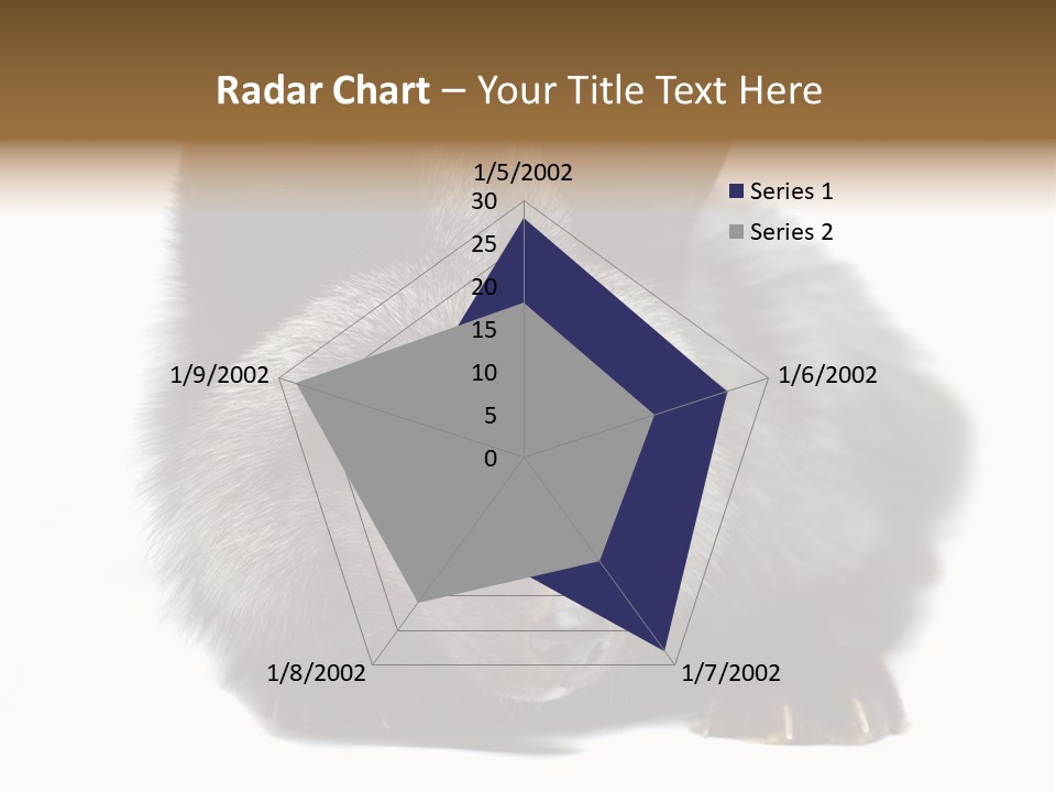 Wild Wild Animal White Background PowerPoint Template