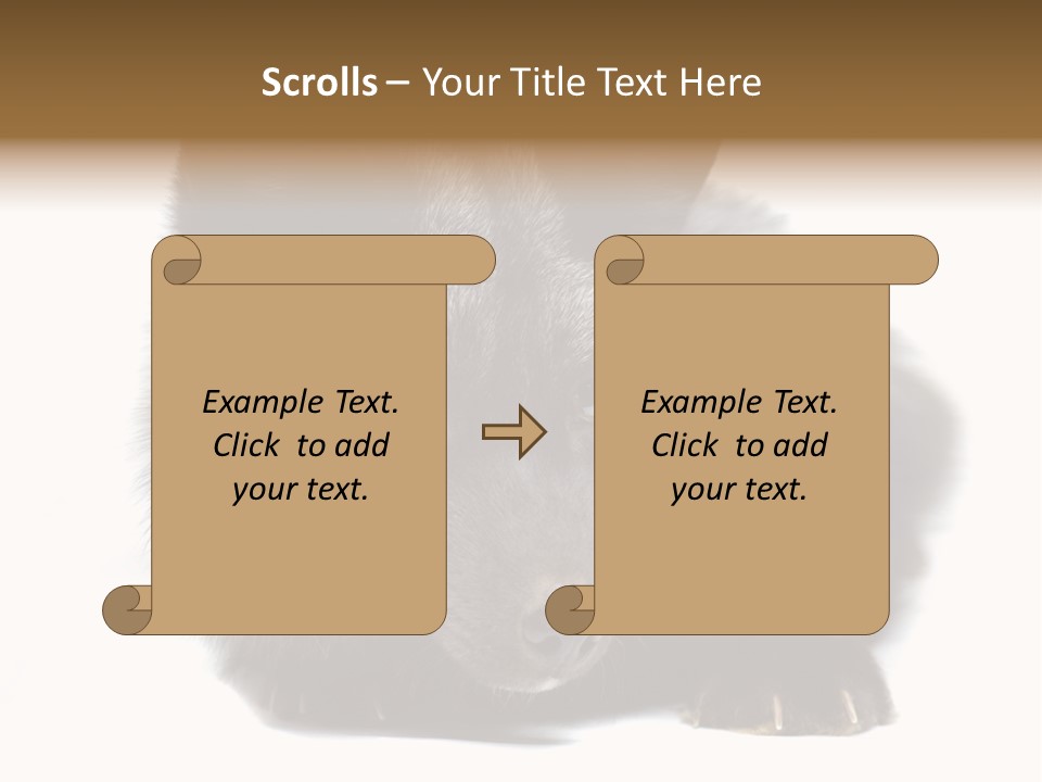 Wild Wild Animal White Background PowerPoint Template