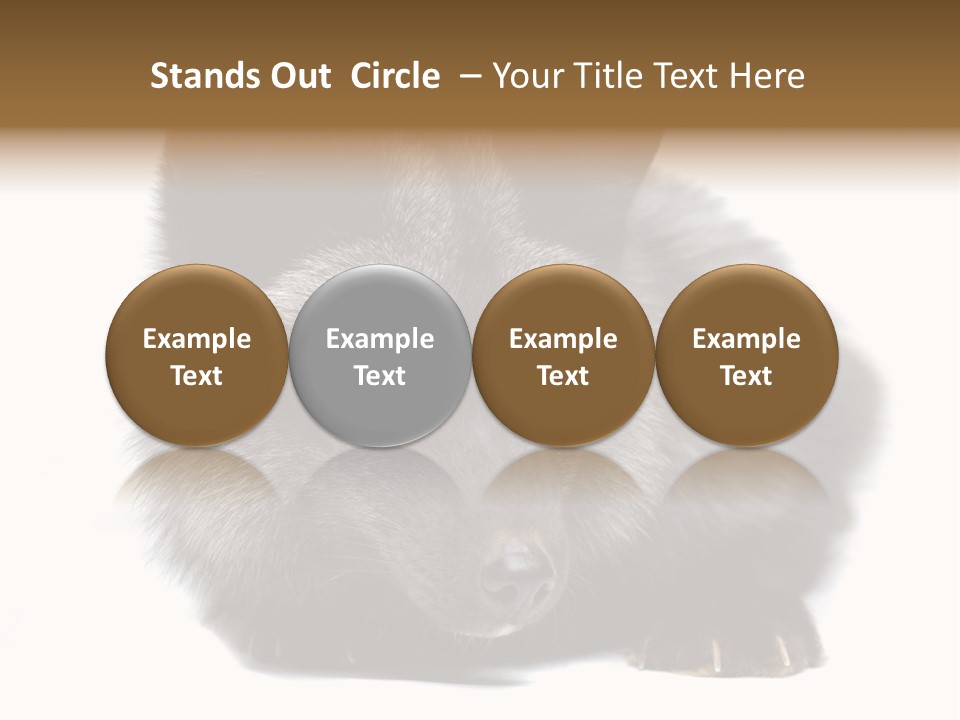 Wild Wild Animal White Background PowerPoint Template