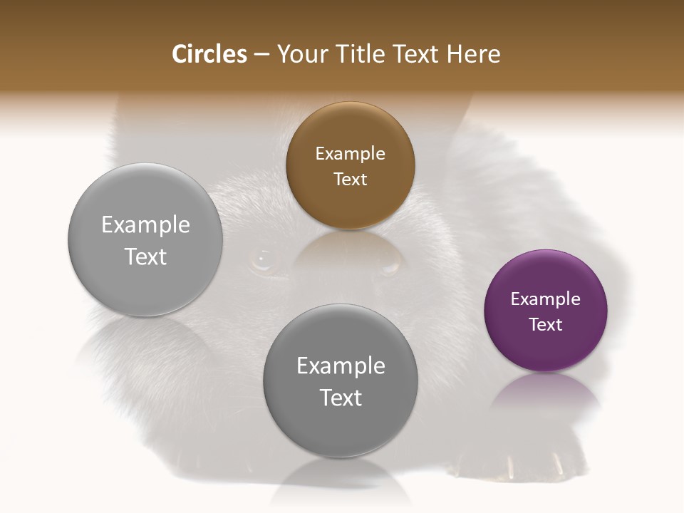 Wild Wild Animal White Background PowerPoint Template