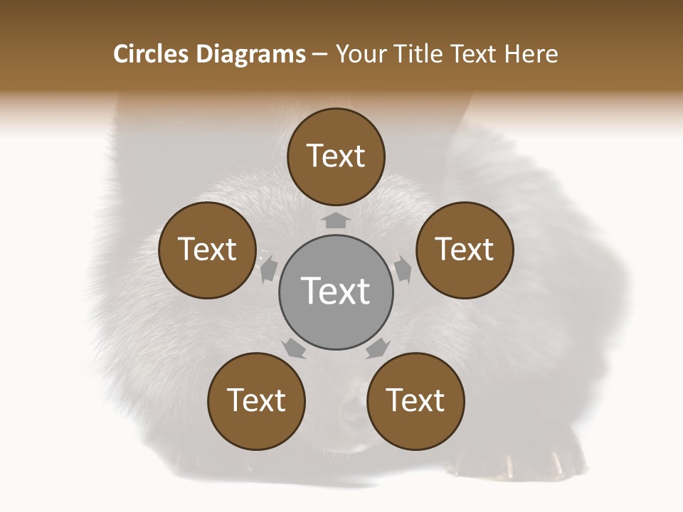 Wild Wild Animal White Background PowerPoint Template