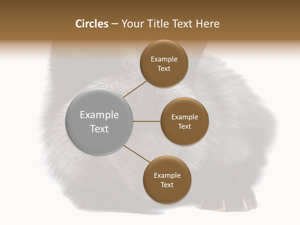 Wild Wild Animal White Background PowerPoint Template