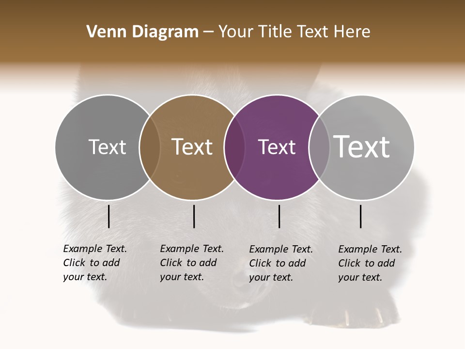 Wild Wild Animal White Background PowerPoint Template