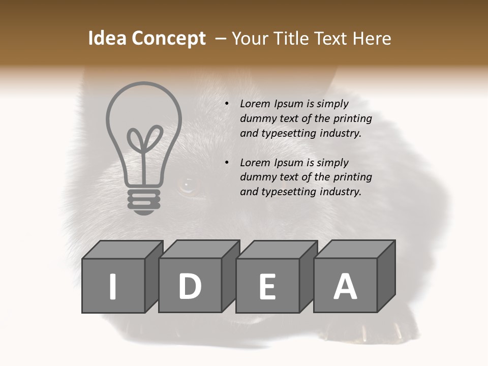 Wild Wild Animal White Background PowerPoint Template