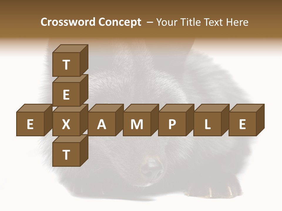 Wild Wild Animal White Background PowerPoint Template