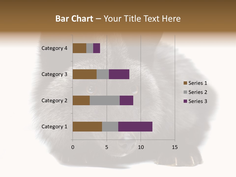 Wild Wild Animal White Background PowerPoint Template