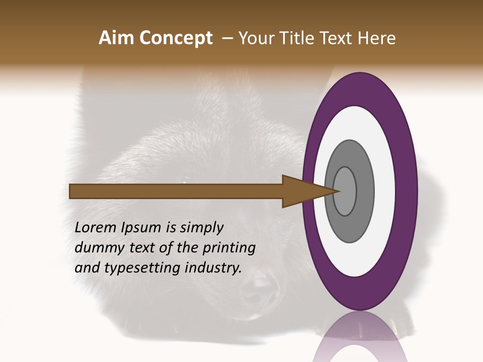 Wild Wild Animal White Background PowerPoint Template