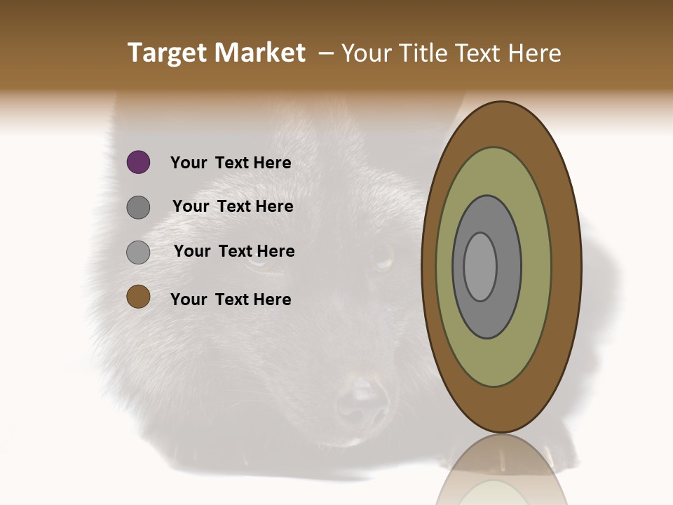Wild Wild Animal White Background PowerPoint Template