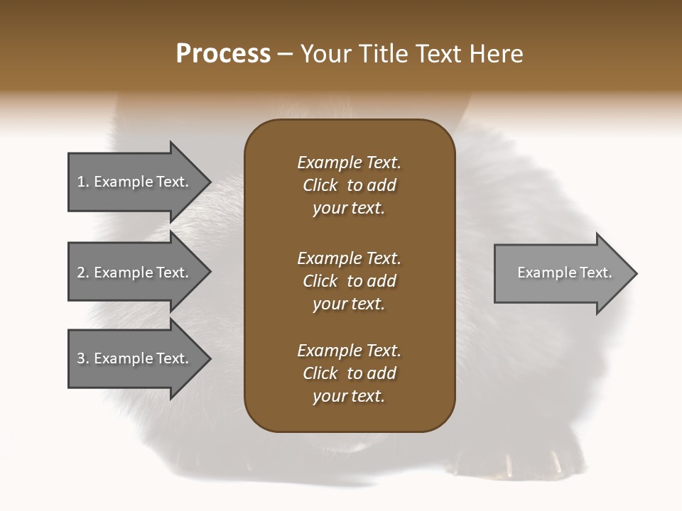 Wild Wild Animal White Background PowerPoint Template