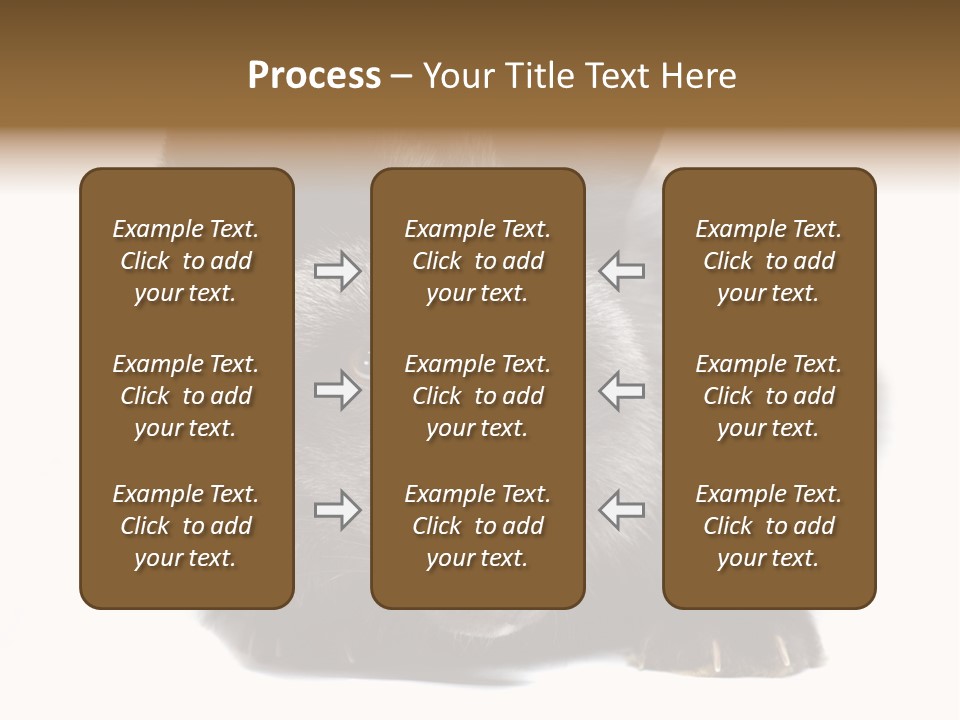 Wild Wild Animal White Background PowerPoint Template