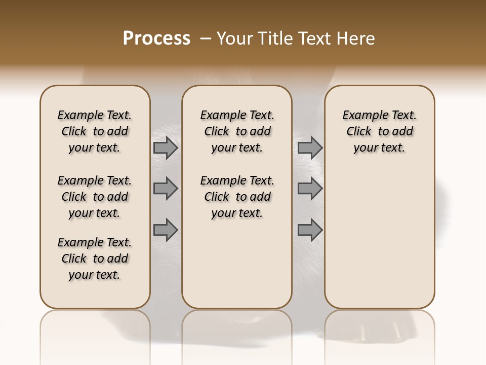 Wild Wild Animal White Background PowerPoint Template