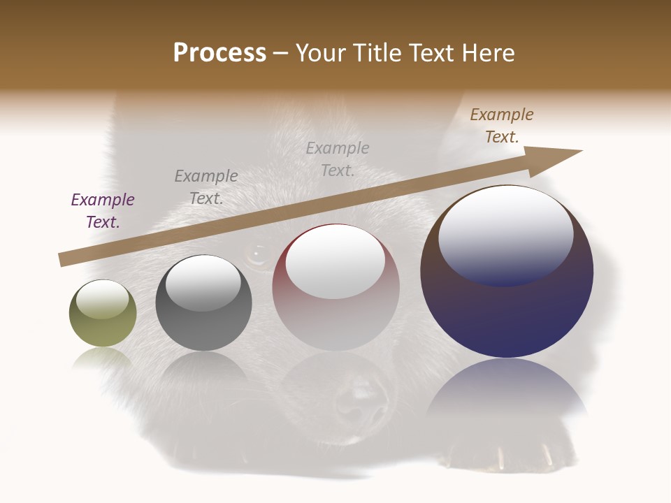 Wild Wild Animal White Background PowerPoint Template