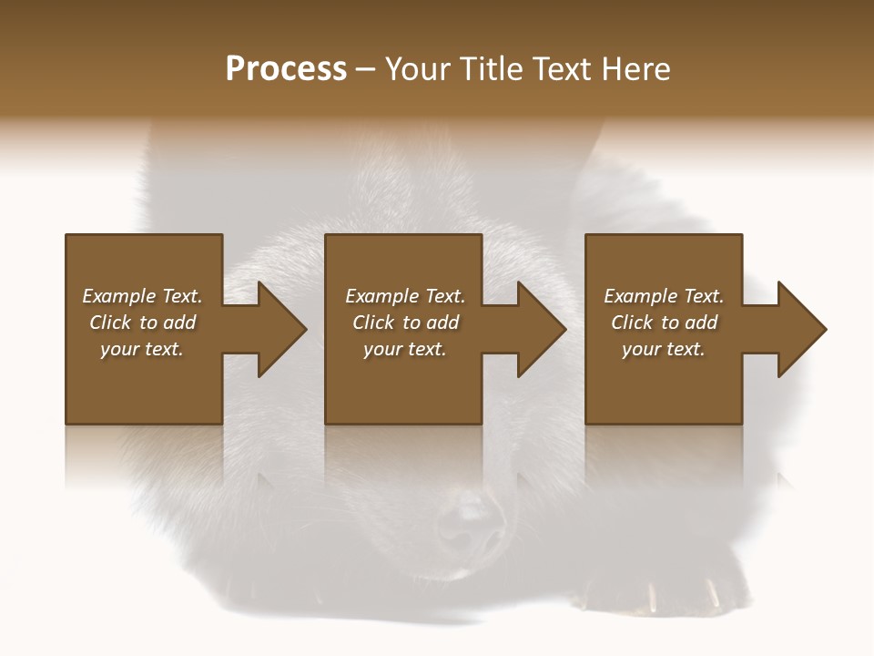 Wild Wild Animal White Background PowerPoint Template