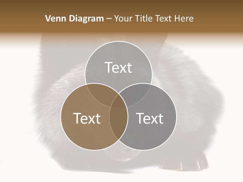 Wild Wild Animal White Background PowerPoint Template