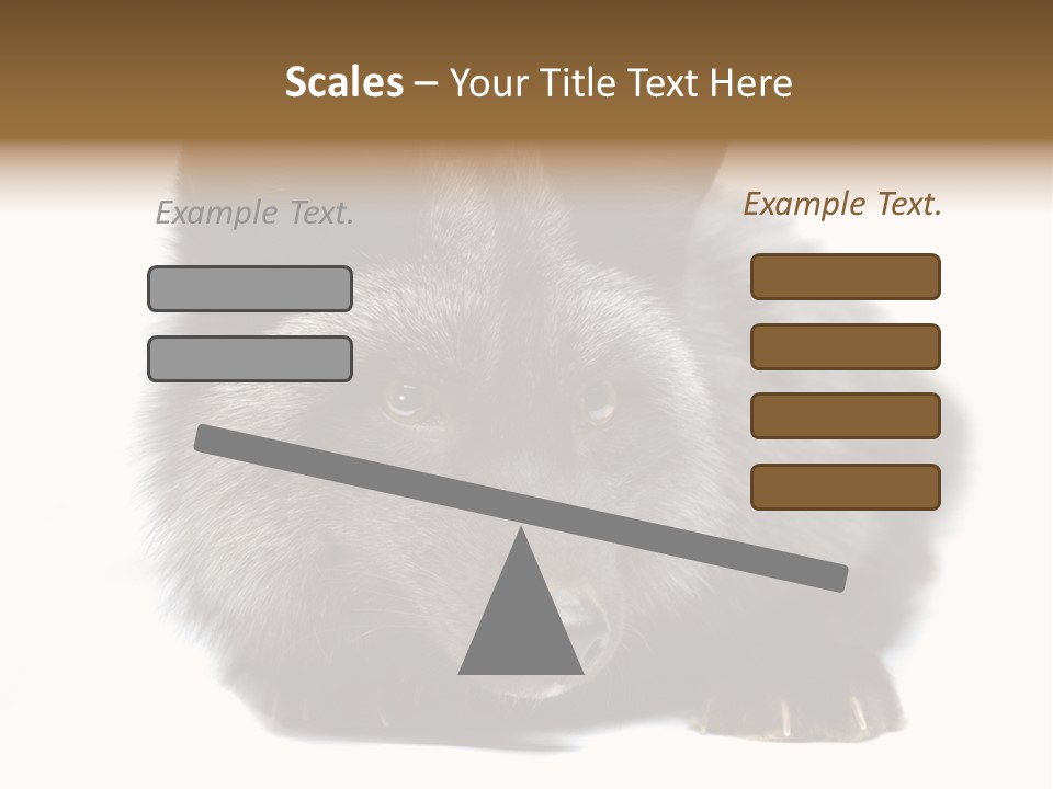 Wild Wild Animal White Background PowerPoint Template