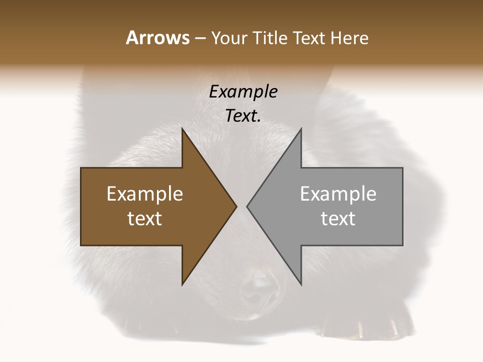 Wild Wild Animal White Background PowerPoint Template