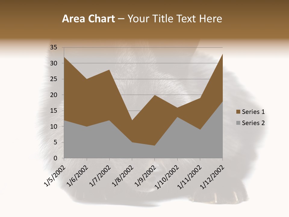 Wild Wild Animal White Background PowerPoint Template