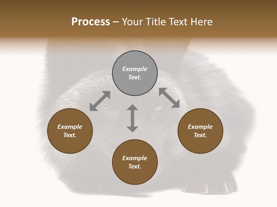 Wild Wild Animal White Background PowerPoint Template