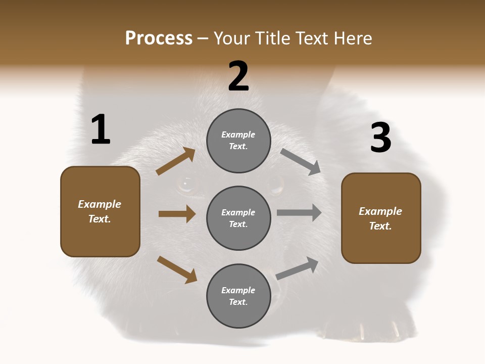 Wild Wild Animal White Background PowerPoint Template