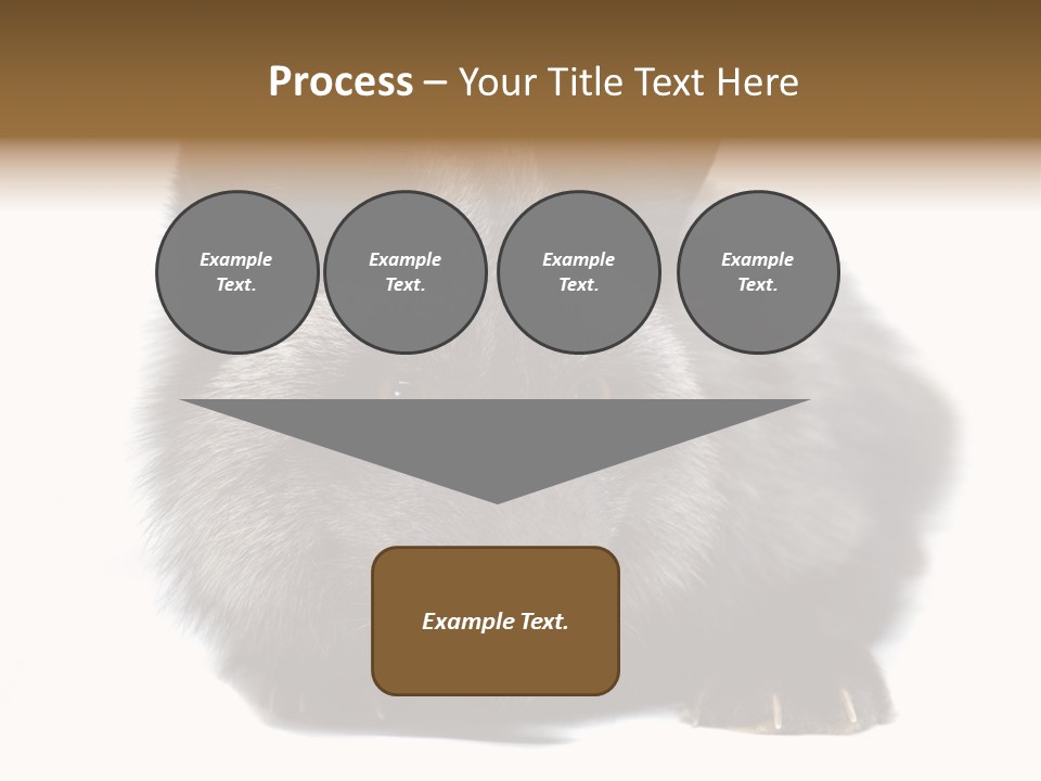 Wild Wild Animal White Background PowerPoint Template