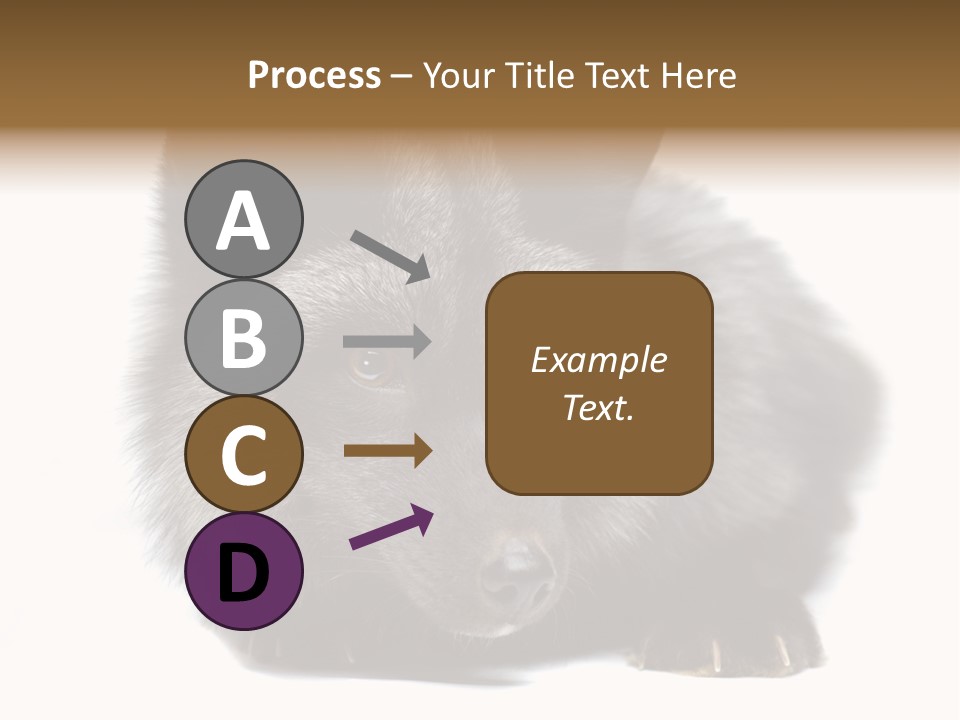 Wild Wild Animal White Background PowerPoint Template