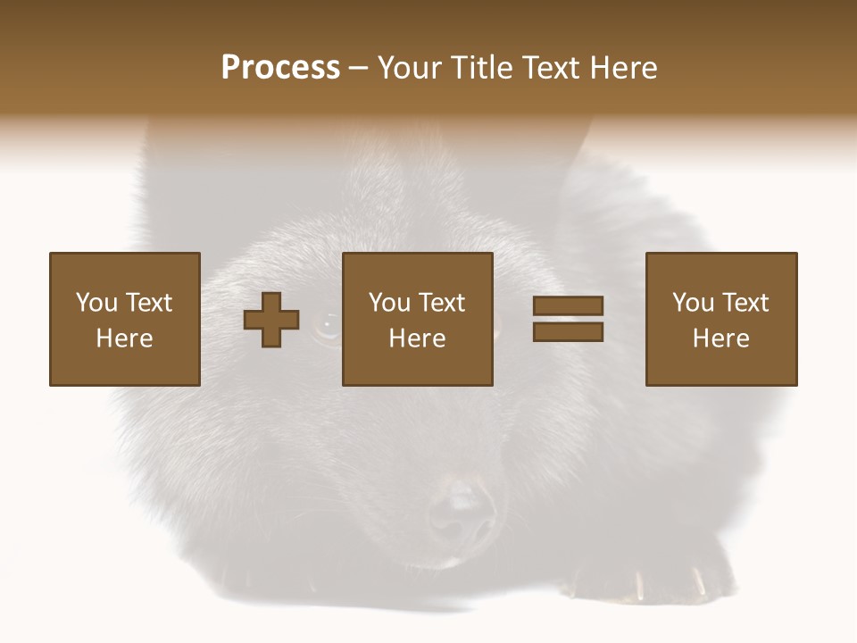 Wild Wild Animal White Background PowerPoint Template