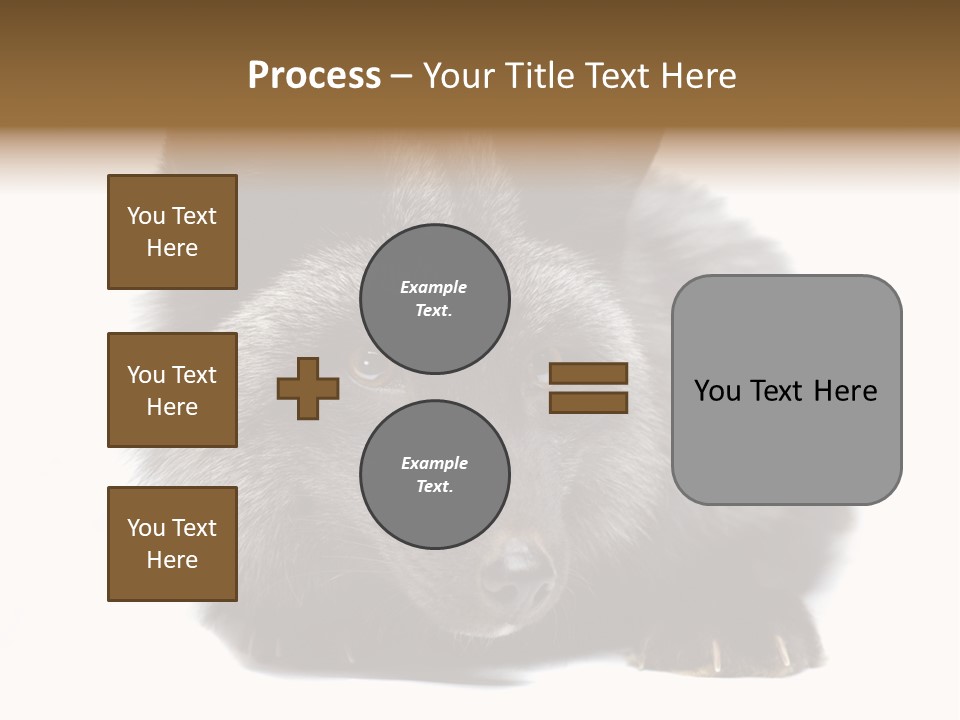 Wild Wild Animal White Background PowerPoint Template