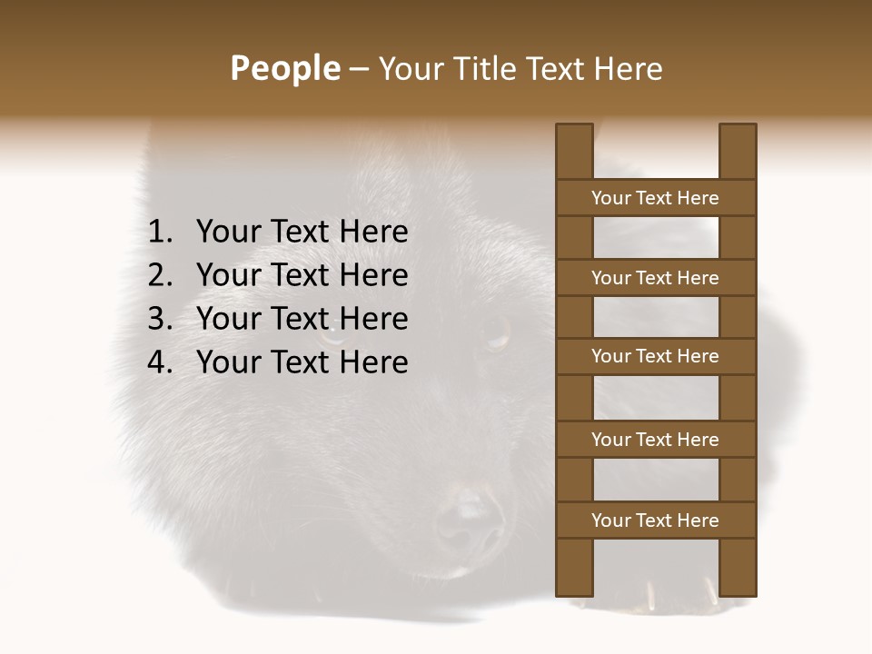 Wild Wild Animal White Background PowerPoint Template