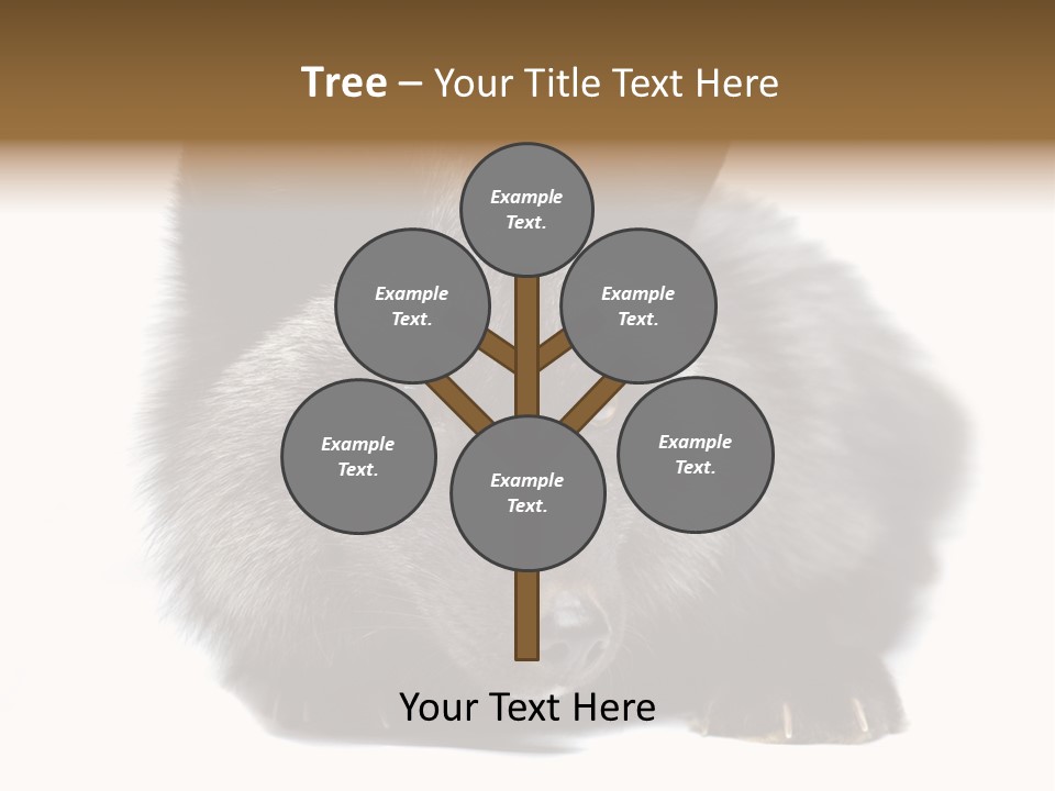 Wild Wild Animal White Background PowerPoint Template