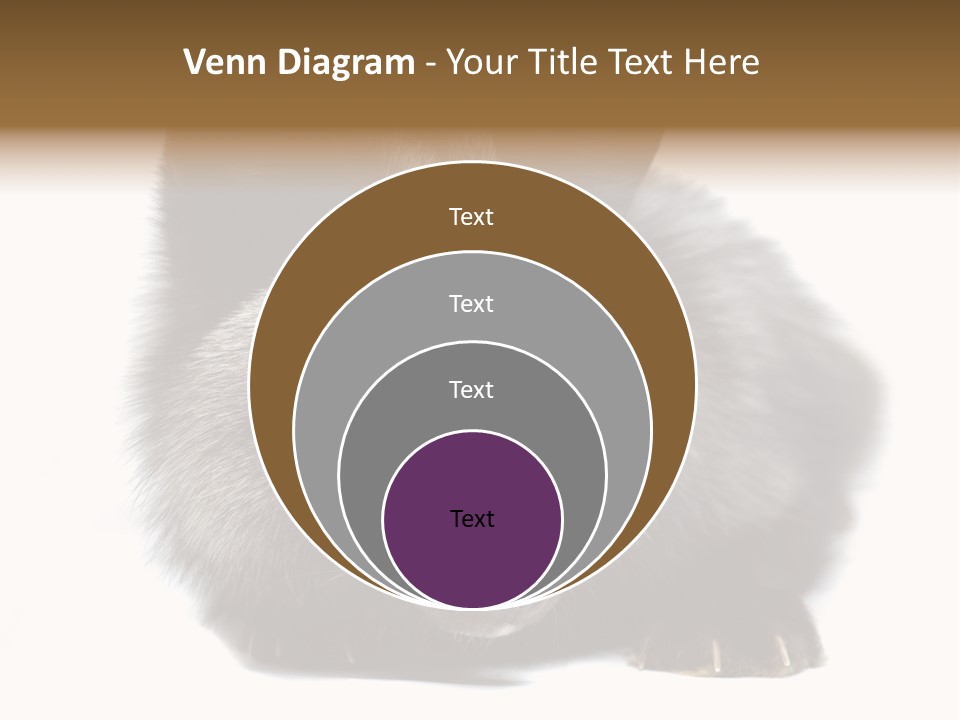 Wild Wild Animal White Background PowerPoint Template