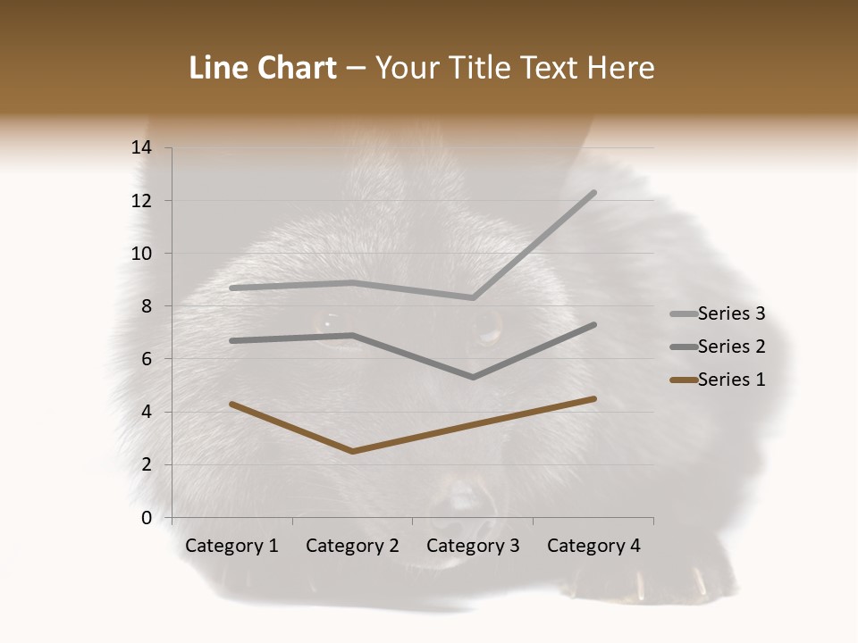 Wild Wild Animal White Background PowerPoint Template