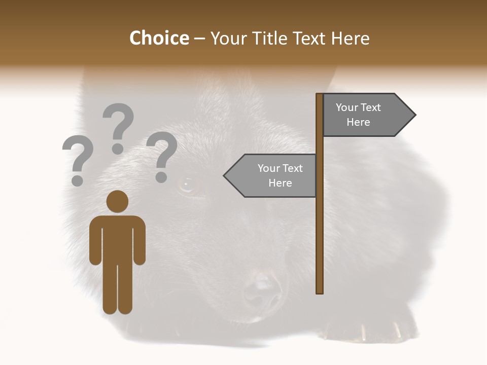 Wild Wild Animal White Background PowerPoint Template