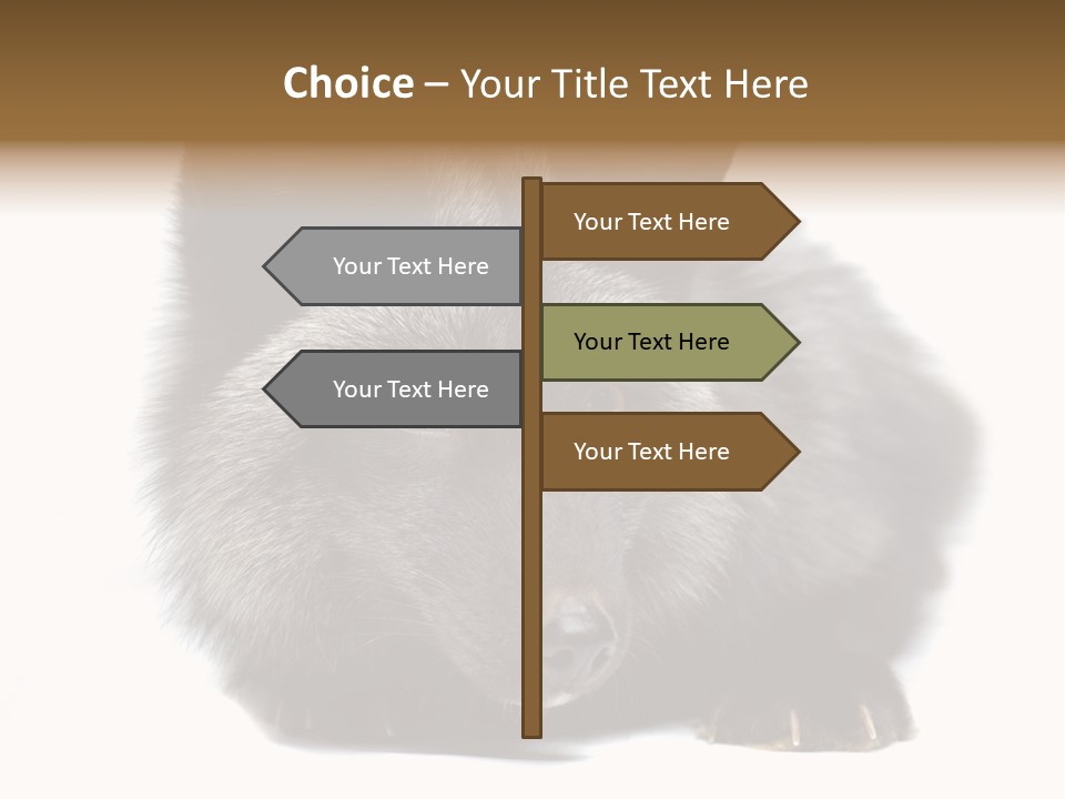 Wild Wild Animal White Background PowerPoint Template