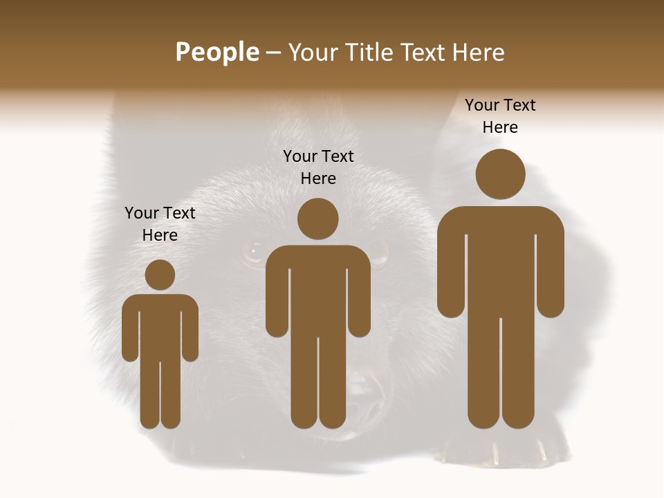 Wild Wild Animal White Background PowerPoint Template