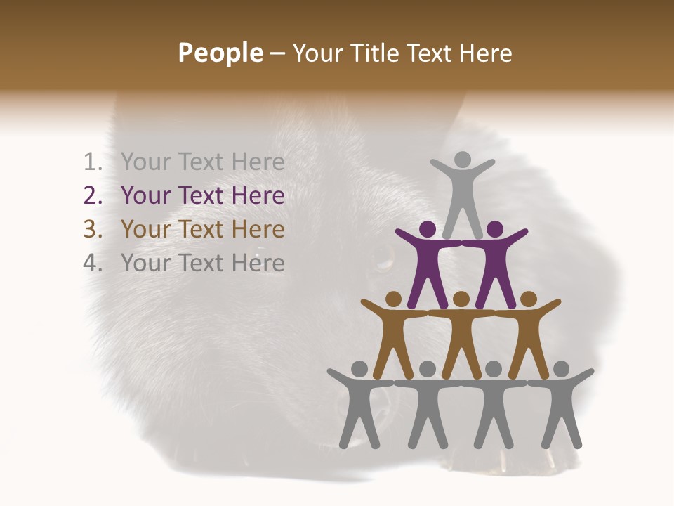 Wild Wild Animal White Background PowerPoint Template