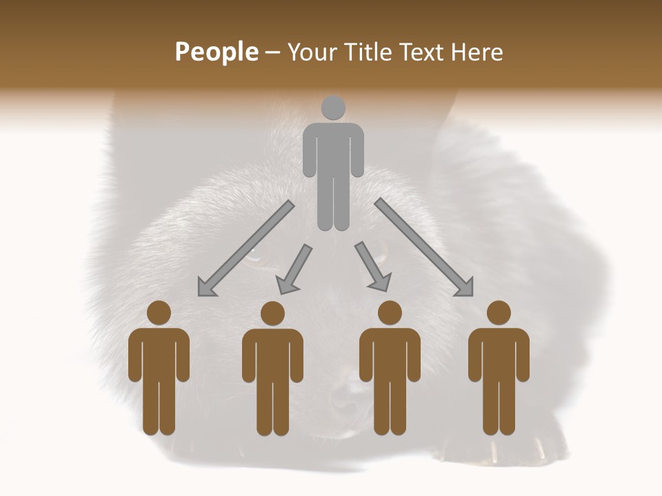 Wild Wild Animal White Background PowerPoint Template