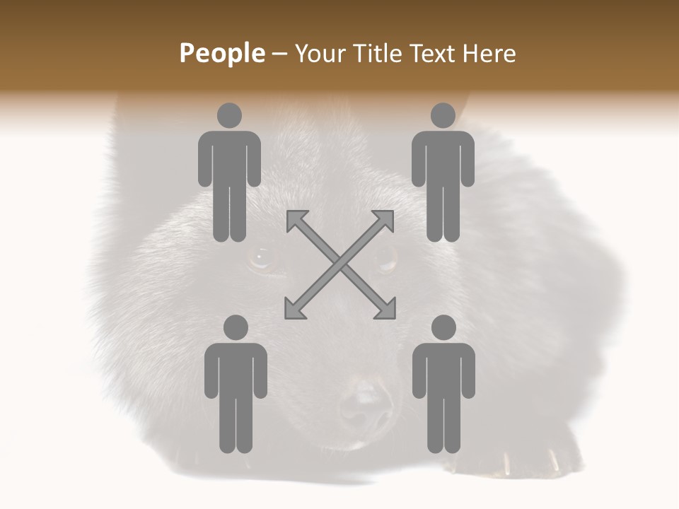 Wild Wild Animal White Background PowerPoint Template