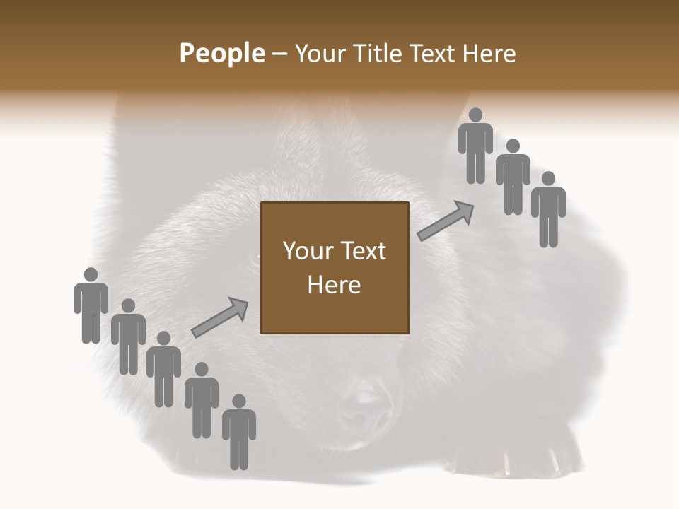 Wild Wild Animal White Background PowerPoint Template