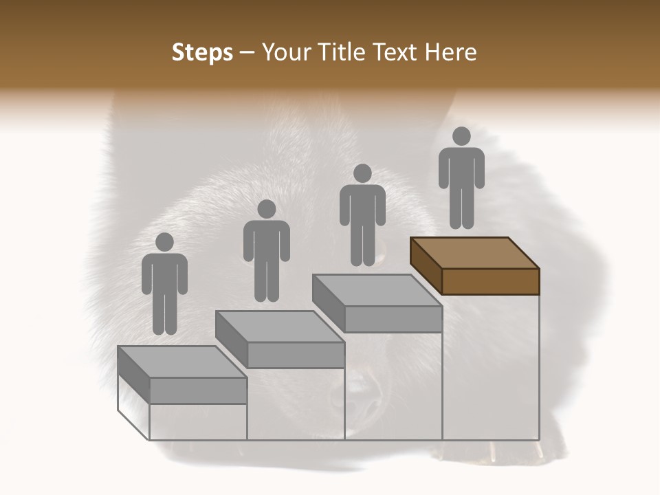 Wild Wild Animal White Background PowerPoint Template