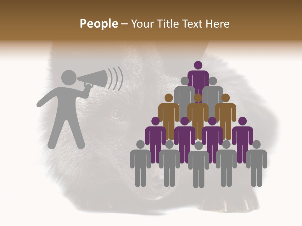 Wild Wild Animal White Background PowerPoint Template