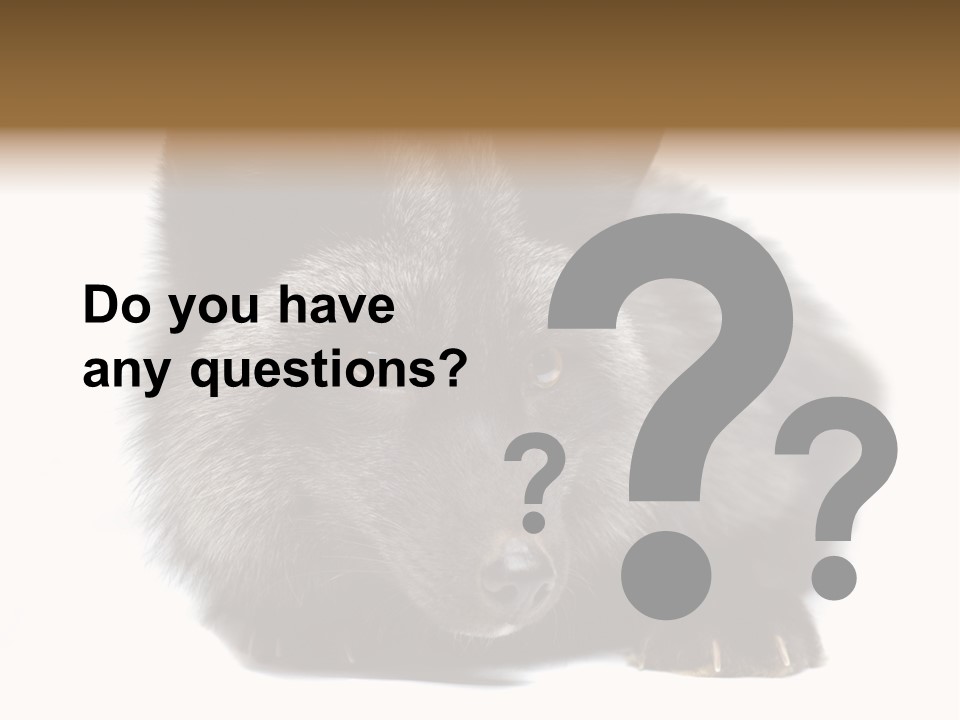 Wild Wild Animal White Background PowerPoint Template