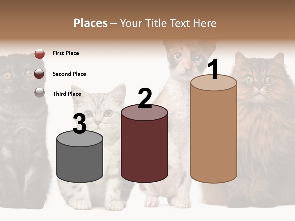 Domestic Companionship Dog PowerPoint Template