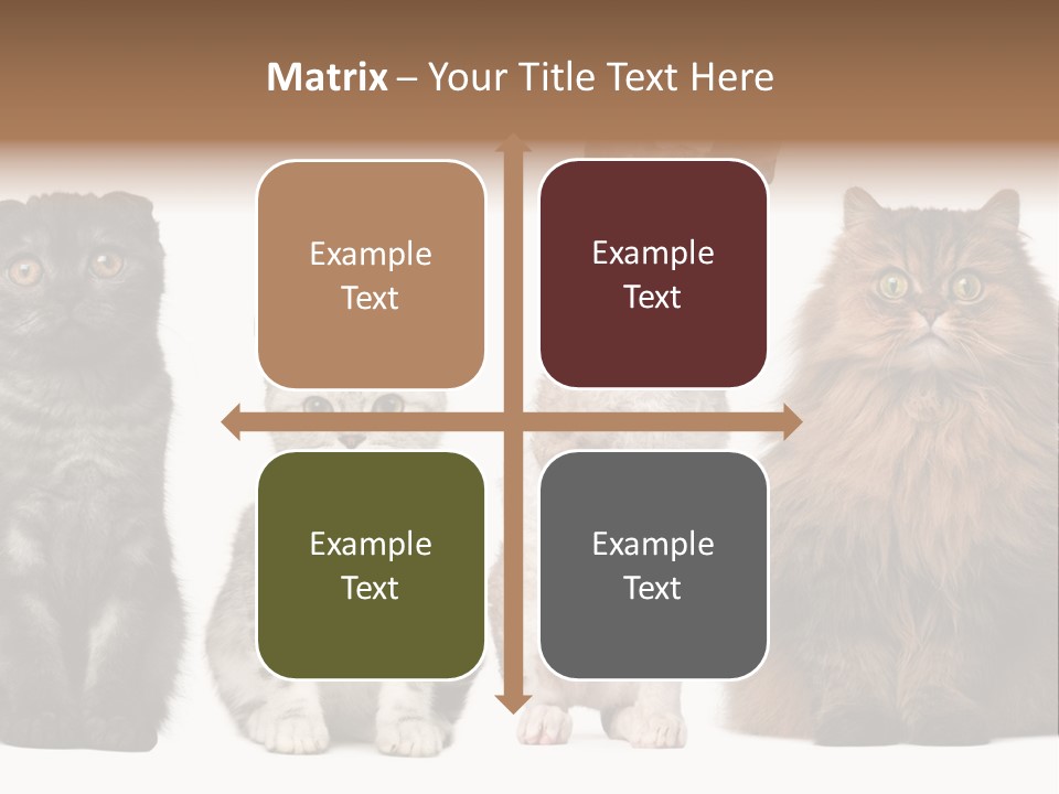 Domestic Companionship Dog PowerPoint Template