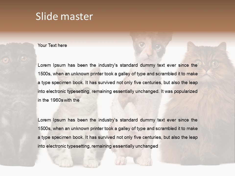 Domestic Companionship Dog PowerPoint Template