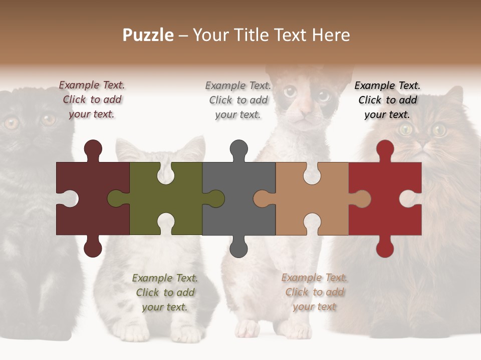 Domestic Companionship Dog PowerPoint Template