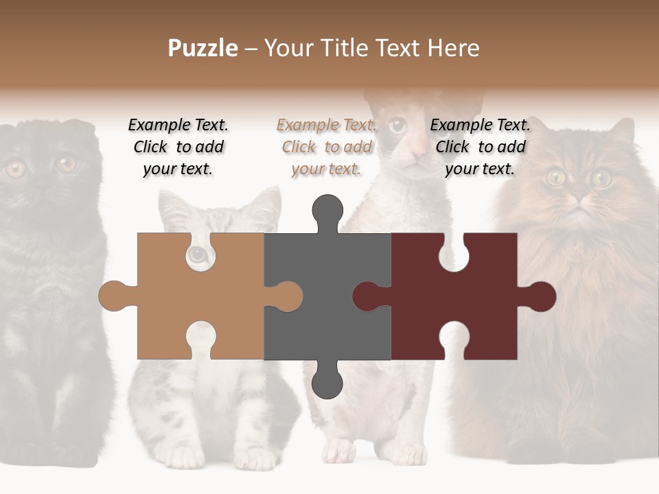 Domestic Companionship Dog PowerPoint Template