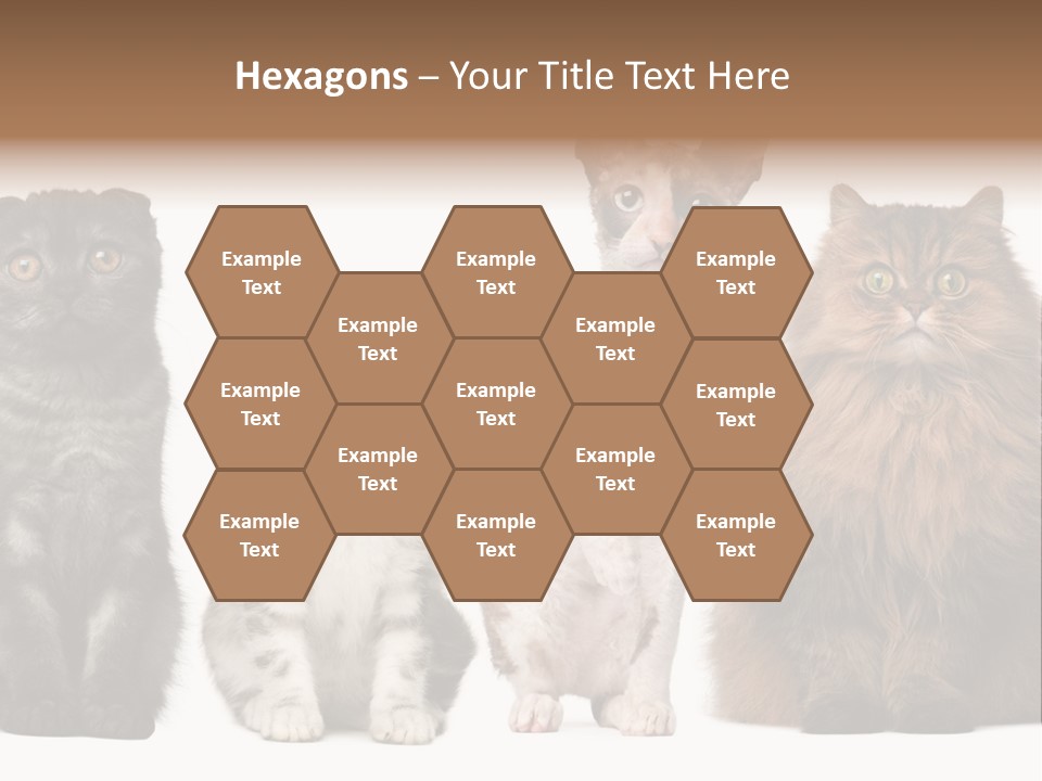 Domestic Companionship Dog PowerPoint Template