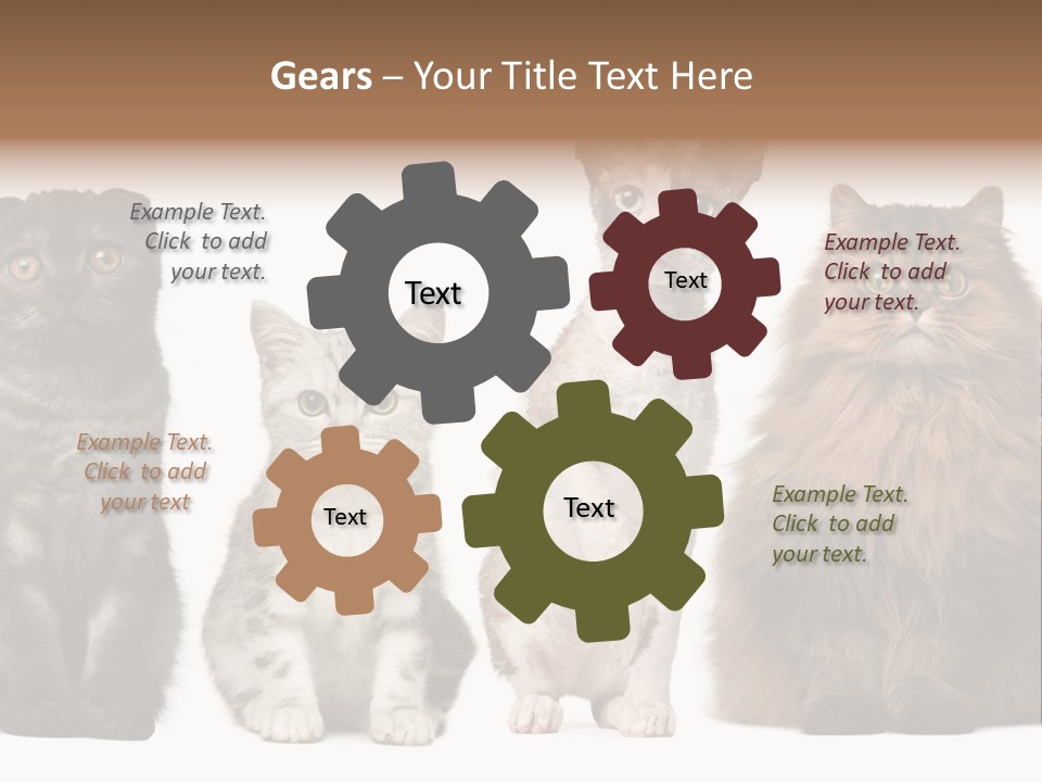 Domestic Companionship Dog PowerPoint Template