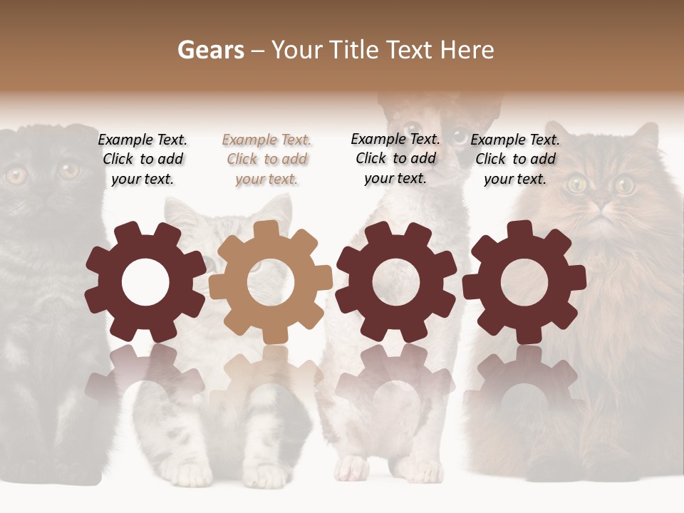 Domestic Companionship Dog PowerPoint Template