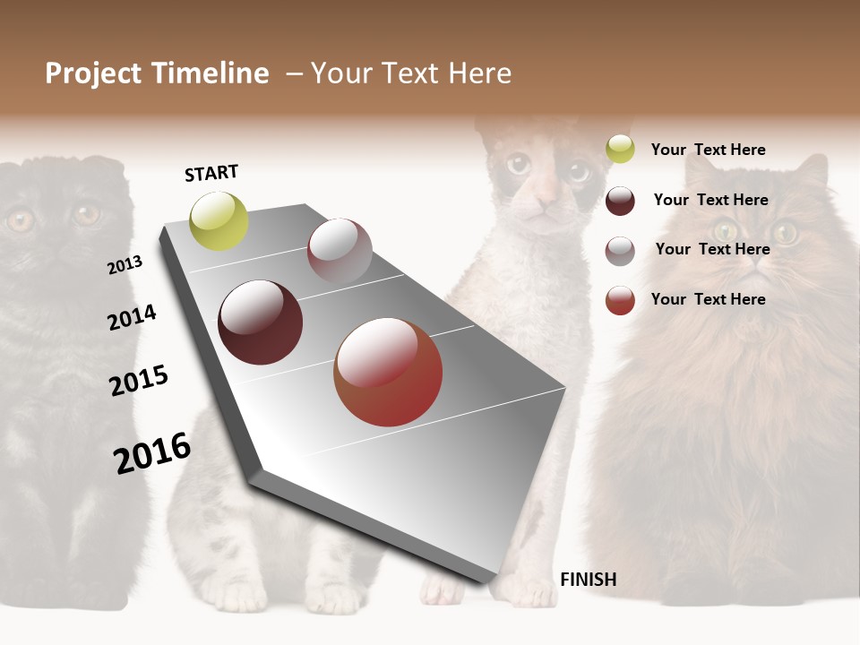 Domestic Companionship Dog PowerPoint Template